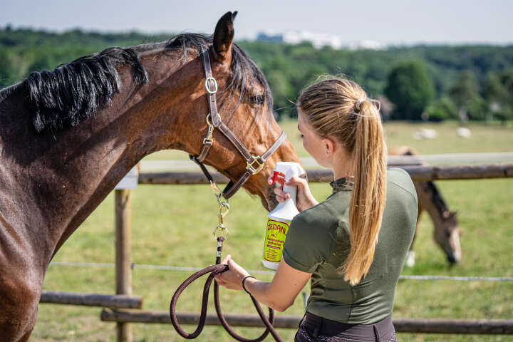 ZEDAN Insektenschutz Sprühlotion